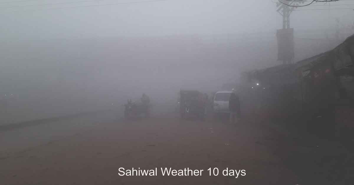 Fog in Sahiwal