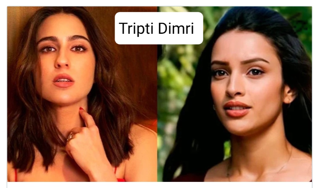 Tripti dimri in animal movie
