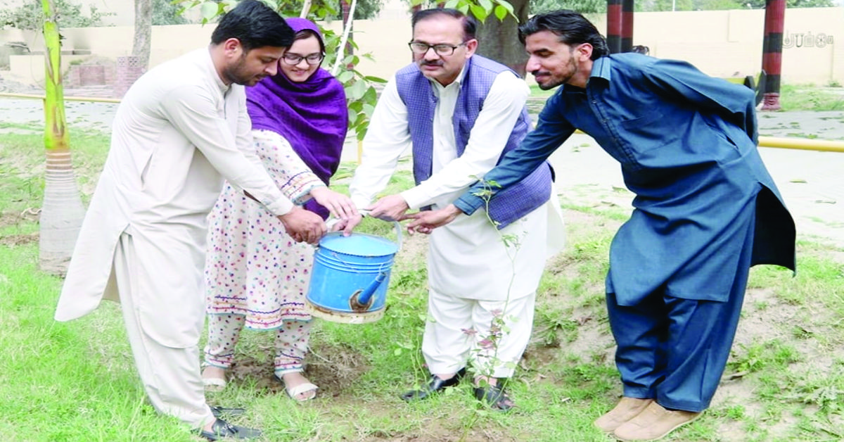 Director Sahiwal arts council