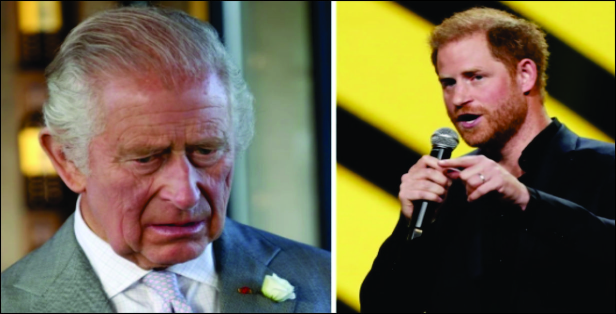Prince Harry and king charles