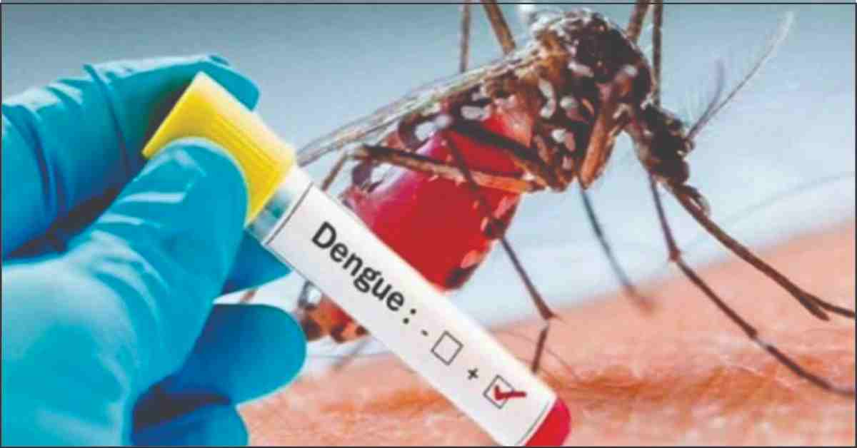 Dengue Cases
