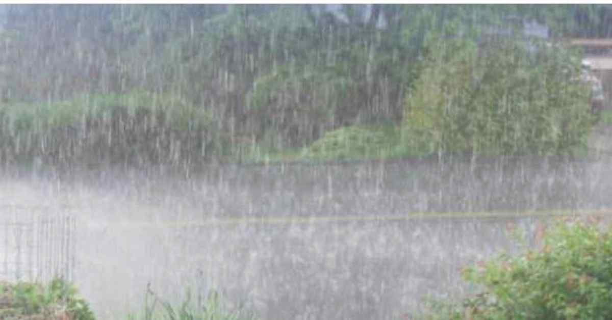 Rain with Homegrown